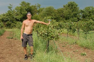 Todd Moon Viticulture Director of bear creek vineyard