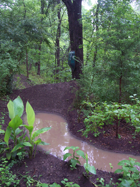 Beer Creek BMX